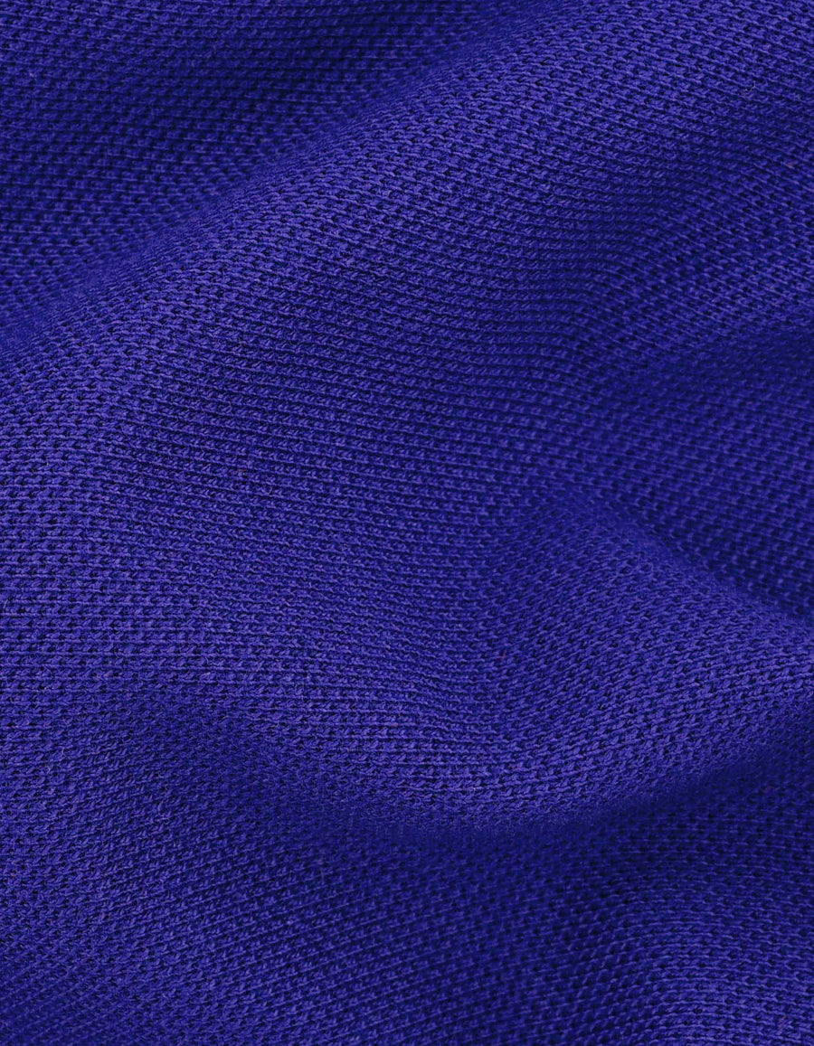 Blue Regular Fit Cotton Polo Shirt