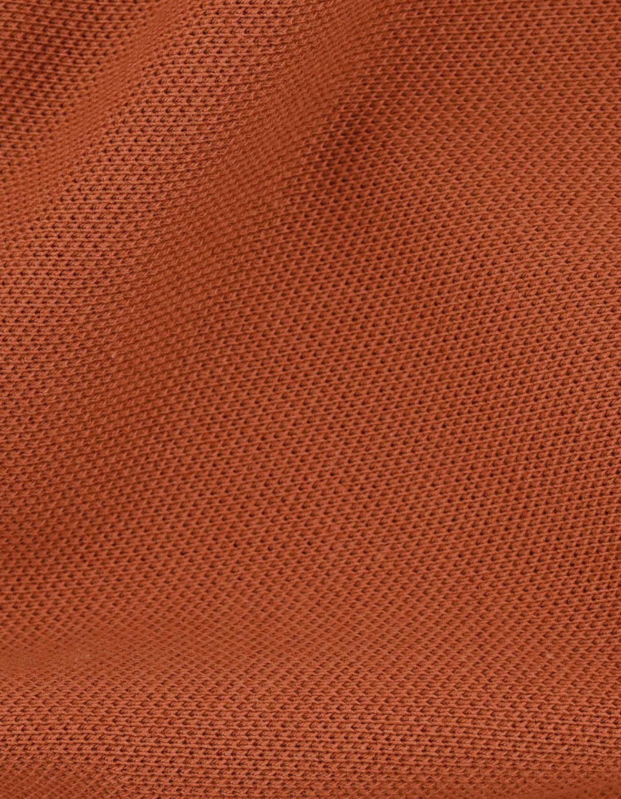 Rust Regular Fit Cotton Polo Shirt