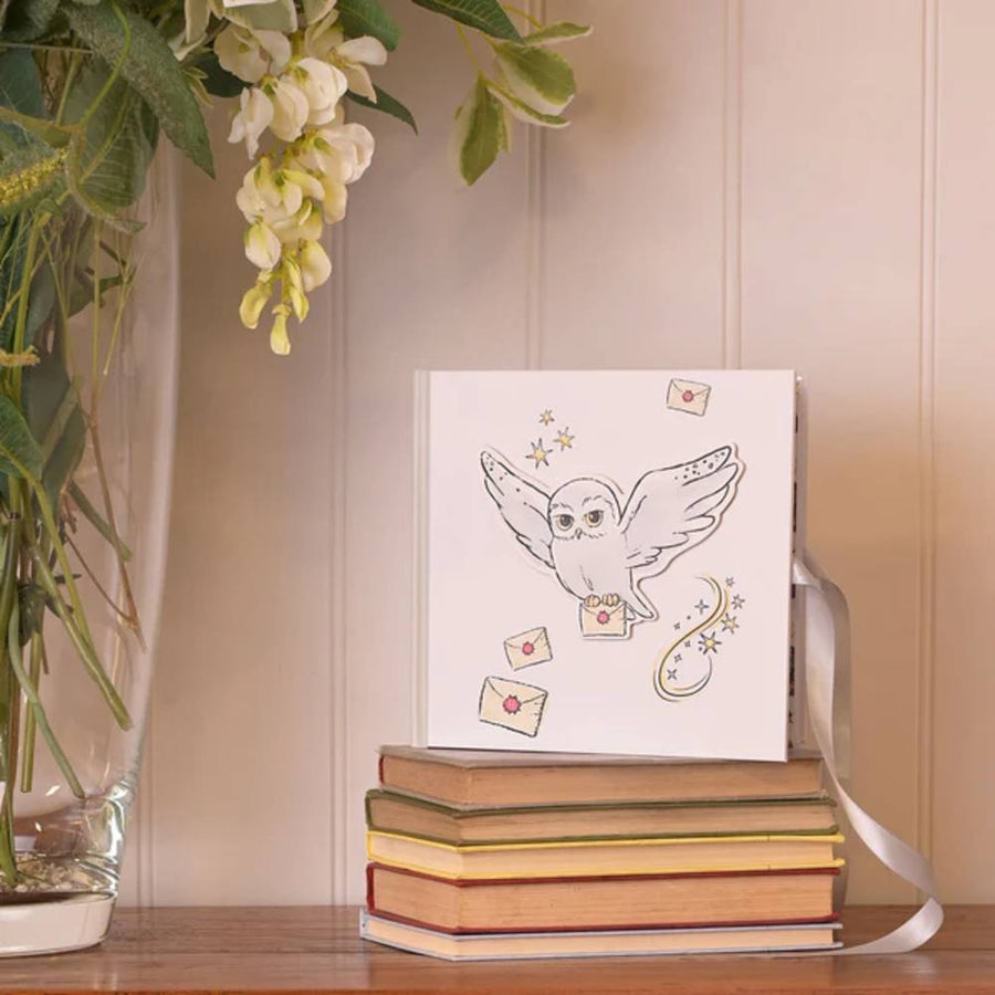 Harry Potter Hedwig Photo Album